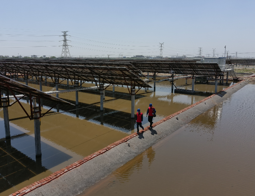 山东省电线电缆行业【开云英超】中国有限公司 山东省电线电缆行业【开云英超】中国有限公司